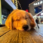 Xiaolin Zhou - @zxl112358 - Instagram