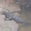 xiaolin zhou - @xiaolinzhou5016 - TikTok