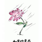 Xiaoling Gan - Facebook