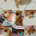 邱小菱 - Facebook