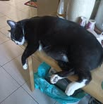邱小玲 - Facebook