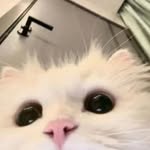 小灵通 - @xiaolingtong95 - Instagram