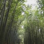曉靈 - @xiaolingwei0314 - Instagram