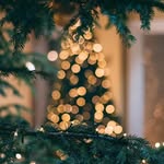 Xiaoling Wu - @wuwanhua668 - Instagram