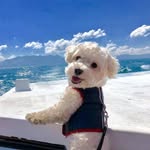 Xiaoling Wu - @xiaoling.wu.792 - Instagram