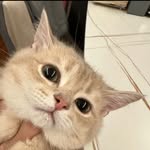 Xiaolu Chen - @625180933xl2023 - Instagram