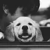 xiaoluchen6 - @xiaoluchen6 - TikTok