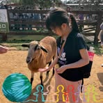 林小露 - Facebook