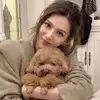 LinXiaolu_9607 - @linxiaolu_9607 - TikTok