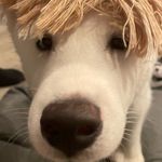 Lulu Lin-Washburne - @xiaolulin_0 - Instagram