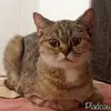 Xiao Lulinn - @xiao.lulinn - TikTok