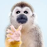 Xiaoman Wang - @wxm0545 - Instagram
