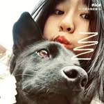 悲伤小dog. - @xiaomeilu.6 - Instagram