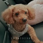 盧小梅 - @xiaomei.lu - Instagram