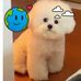 Xiaomei Ren - Facebook