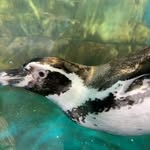 Xiaomin Lin - @xiaomin811 - Instagram