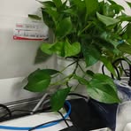 Xiaomin Tang - Facebook