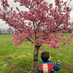 Xiaomin Wu - @yizhilajimi - Instagram