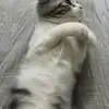 Xiaomin Wu - @xiaominwu8 - TikTok
