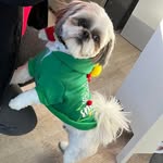 Xiaomin Wu - @xiaomin.wu.35 - Instagram