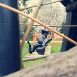 Frank Cheng - @xiaoming.cheng.946 - Instagram