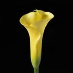 晓明亮 - @xiaomingliang77 - Instagram