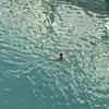 Xiaoning Zhu227 - @xiaoningzhu0 - TikTok