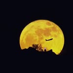 Xiaoning Zhu - Facebook