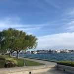 Xiaorui Ma - @xiaorui.ma.15 - Instagram