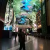 XiaoTingTang - @ooq.qii - TikTok