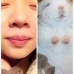 Xiaoting Wang - @xia_longmao - Instagram