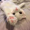 xiaoting wang - @xiaoting.wang2 - TikTok