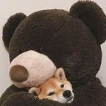 Xiaotong Liu - @mariooo_liu - Instagram