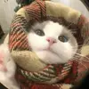 FL vô địch thì đổi tên⚡️ - @xiaoxingxingheh - TikTok