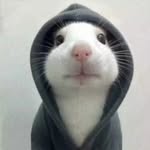 xiaoxihe - @xiaoxihe4 - Instagram
