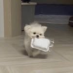 Luo Xiaoyi - @luooxiaoyi - Instagram