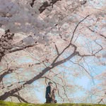 pinkluxury - @xiaoyiluo14 - Instagram