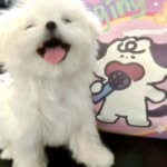 xiaoyi luo - @luoxiaoyi1221 - Instagram