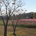陳小琳 - Facebook