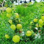 xiaoyinyin - @xiaoyin_chen88 - Instagram