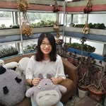 菜小樱 - @caixiaoying4756 - Instagram