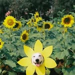 Xiaoyu Chen - @xiaoyu.chen.5095110 - Instagram