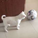 Xiaoyu Chen - Facebook