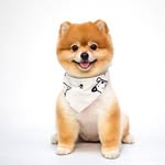 Xiaoyuan Wang - @weeds_in_ml - Instagram