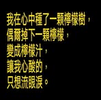 Xiaoyuan Wang - Facebook