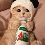 姜晓苒 - @xiaozhoujiang77 - Instagram