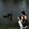 Xin Chen - @xin.chen77 - TikTok