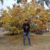 Xin Dang - Facebook