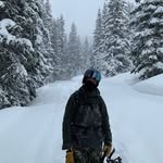 Xin Ding - @bac2qh - Instagram