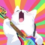 Xin Ding - Facebook